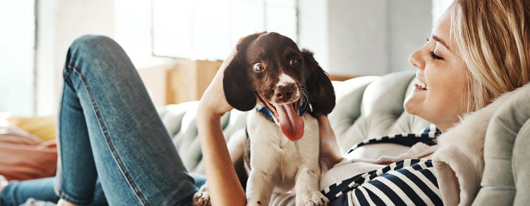 woman lies on a couch and pets her dog